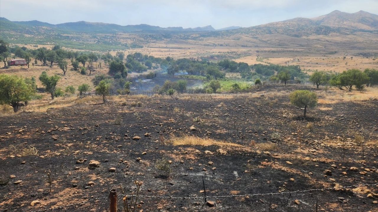 Diyarbakır'da Orman ve Tarım Alanlarındaki Yangınlar Söndürüldü