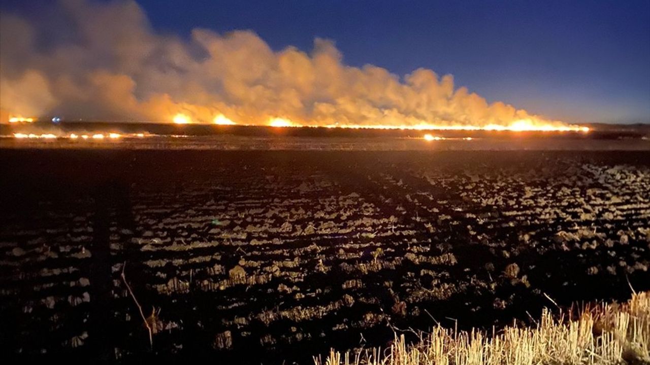Diyarbakır'da Tarım Alanında Çıkan Yangın Kontrol Altına Alındı