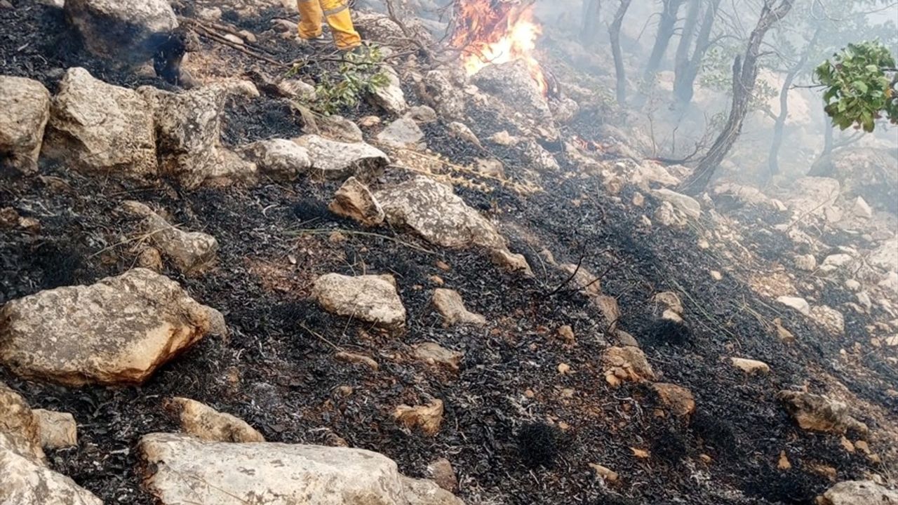 Diyarbakır Lice'de Orman Yangınına Hızlı Müdahale