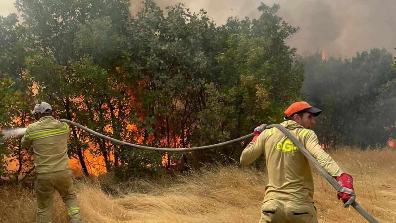 Diyarbakır Lice'deki Orman Yangını Kontrol Altına Alındı