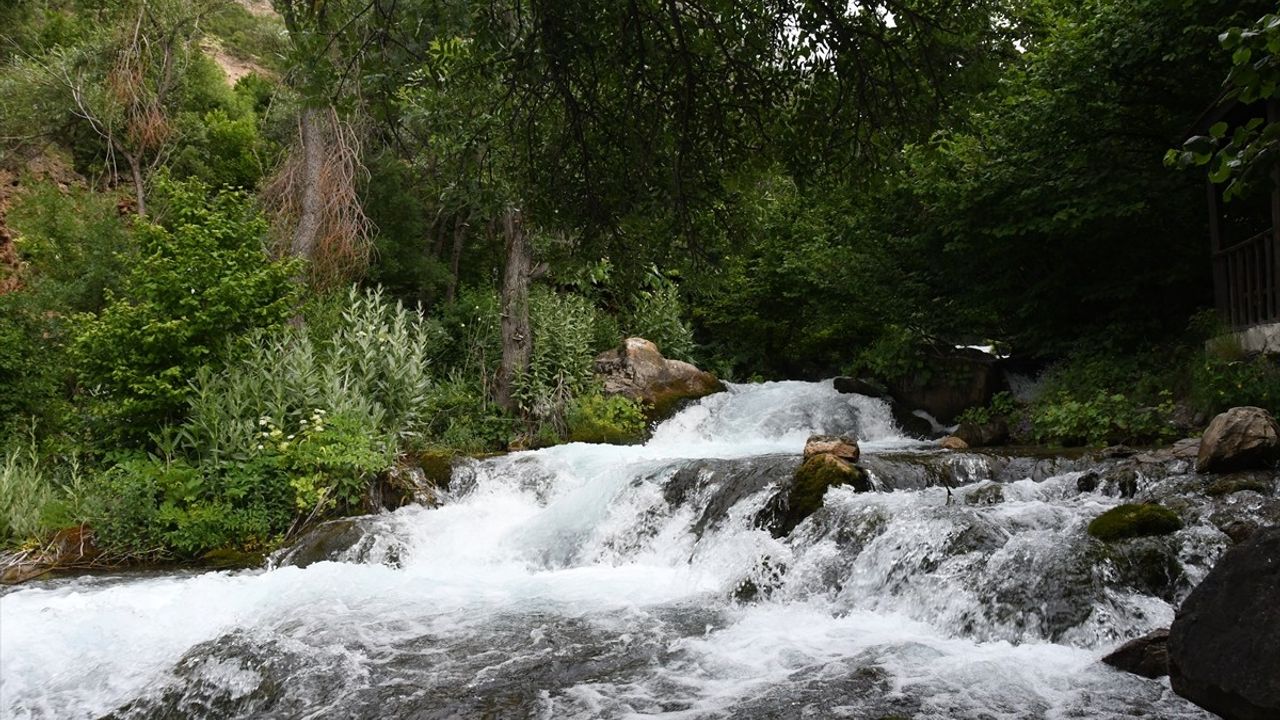 Doğu Karadeniz'in Cenneti: Tomara Şelalesi Ziyaretçilerin Yeni Gözdesi