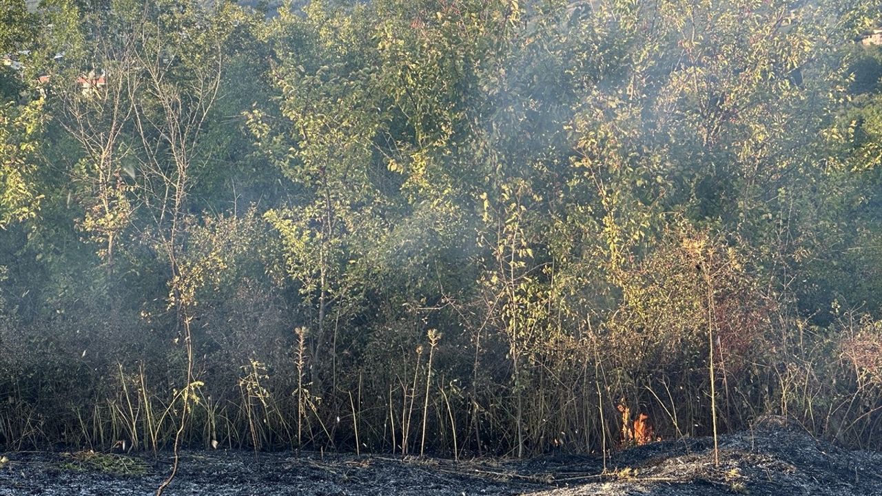 Düzce'deki Örtü Yangını İtfaiye ve Vatandaşların İşbirliğiyle Söndürüldü