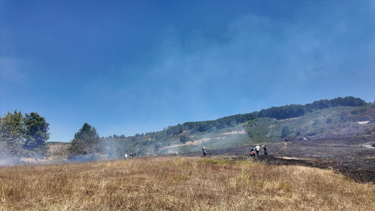 Düzce'deki Örtü Yangını Kontrol Altında