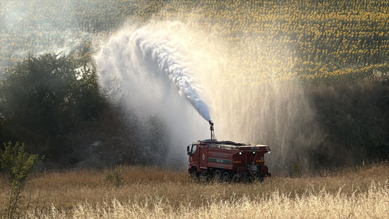 Edirne'de Buğday Tarlasında Yangın Söndürüldü