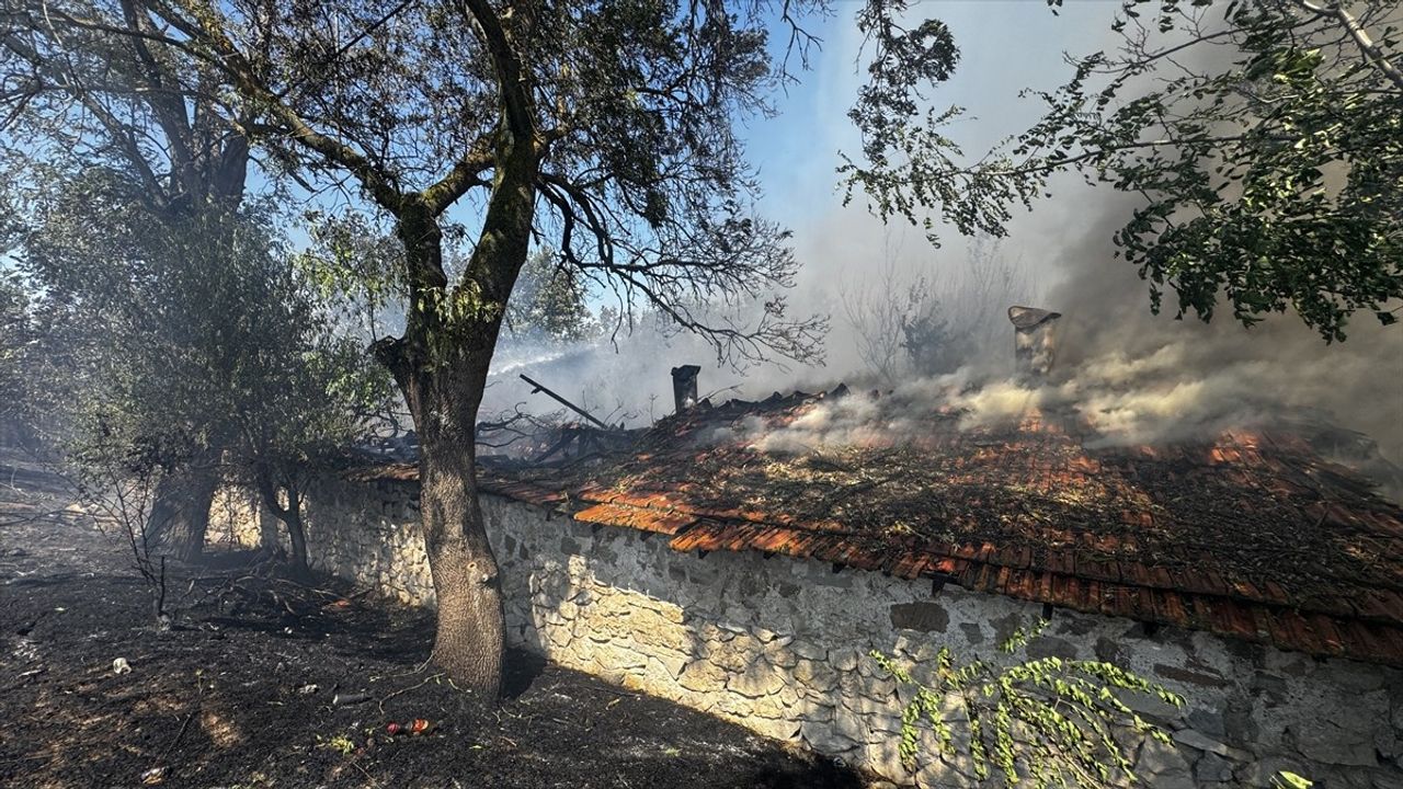 Edirne'de Geniş Alanda Anız Yangınına Müdahale Devam Ediyor