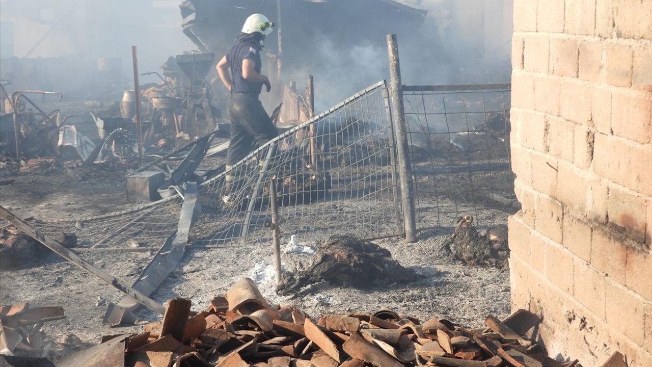 Edirne'de Korkunç Yangın: 80 Küçükbaş Hayvan Telef Oldu!
