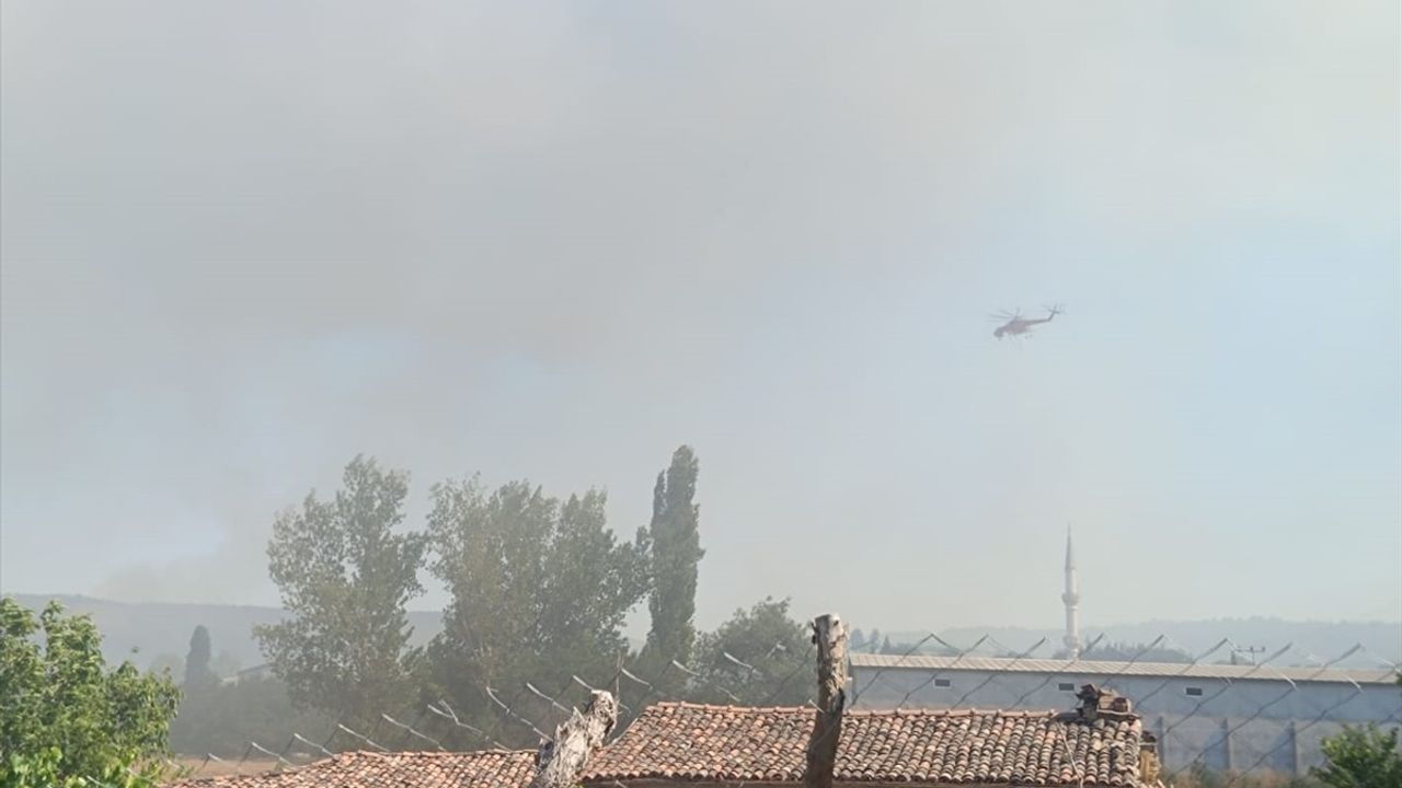 Edirne'de Orman Yangınına Hızla Müdahale Ediliyor