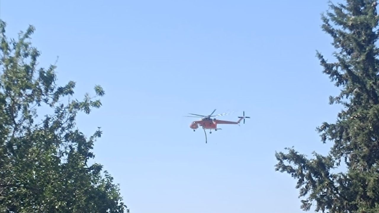 Edirne&#039;deki Orman Yangını Kontrol Altına Alındı