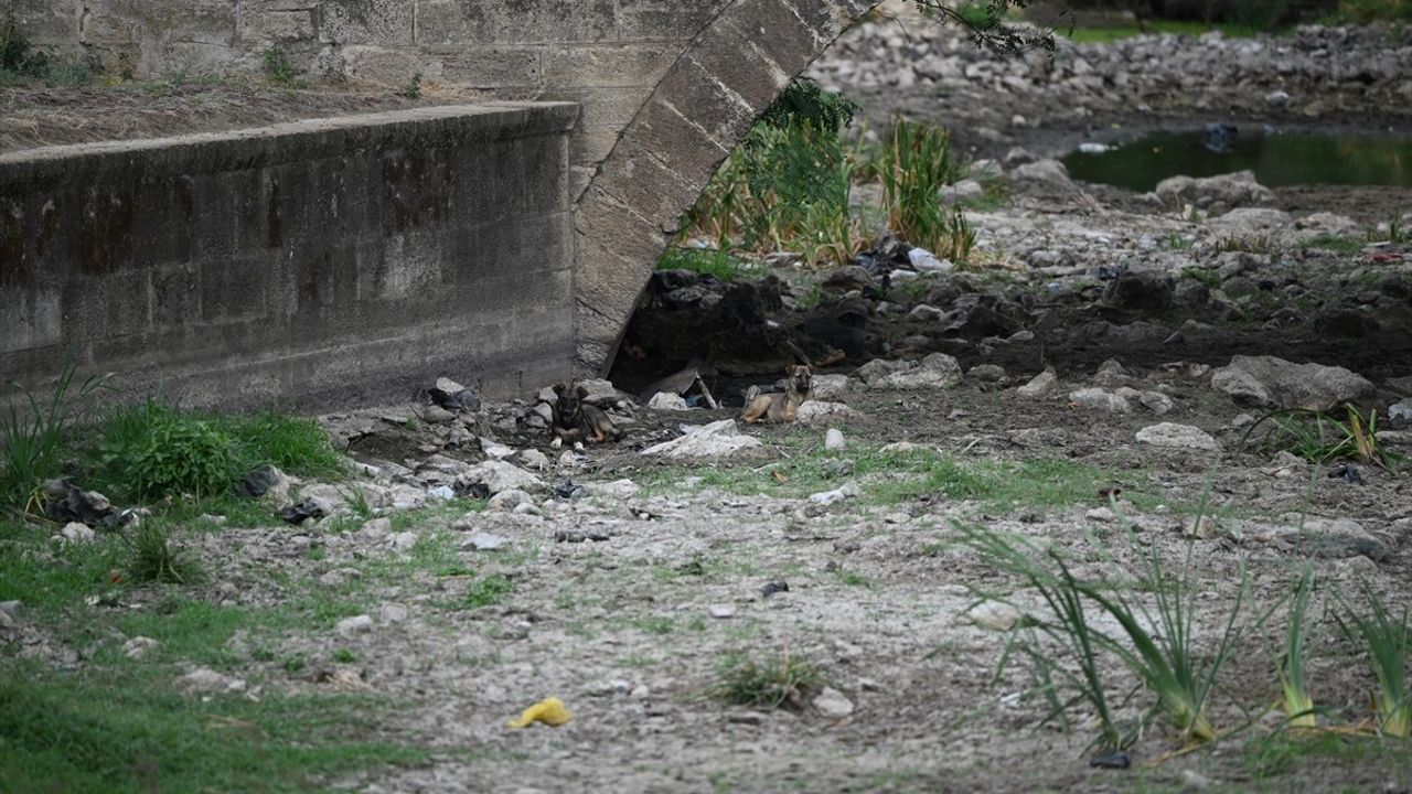 Edirne'deki Tunca Nehri'nde Su Akışı Durdu: Kuraklık Etkili Oldu