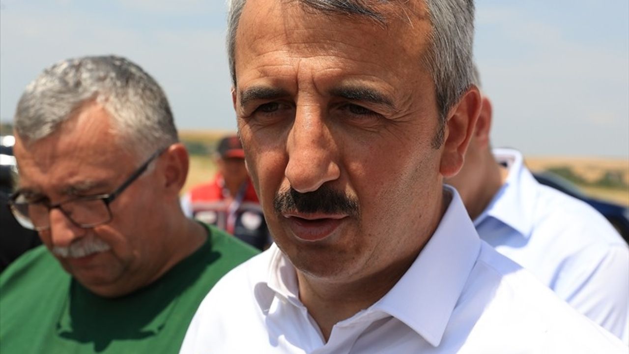 Edirne Valisi Sezer, Biçerdöverle Buğday Hasadı Yaptı