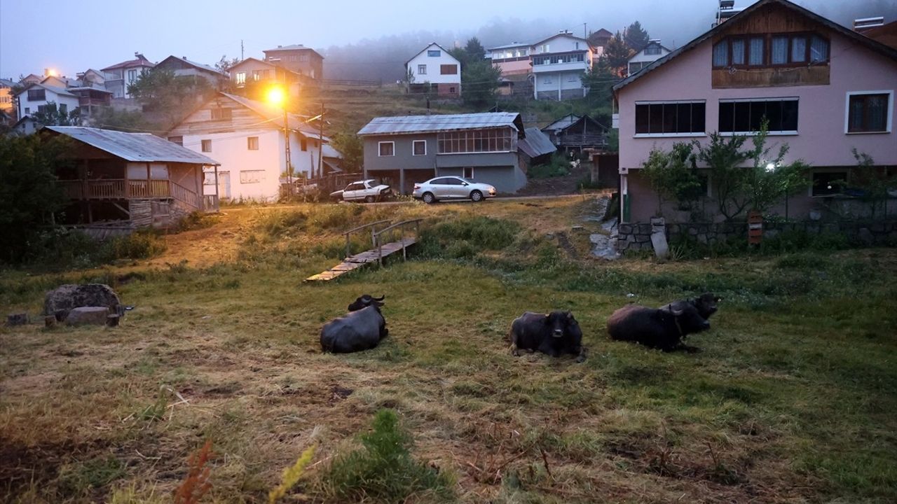Eğriçimen Yaylası'nda Soğuk Hava ve Sağanak Etkili