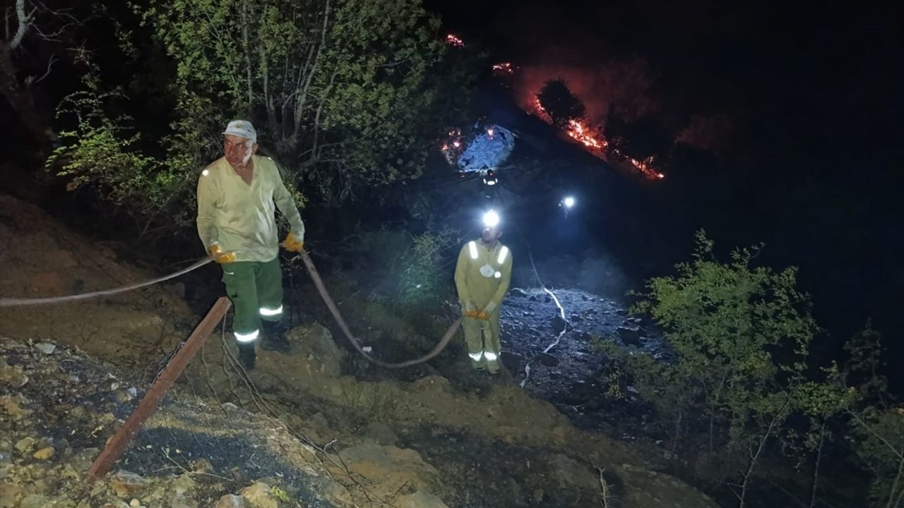 Elazığ'daki Örtü Yangını Kontrol Altına Alındı
