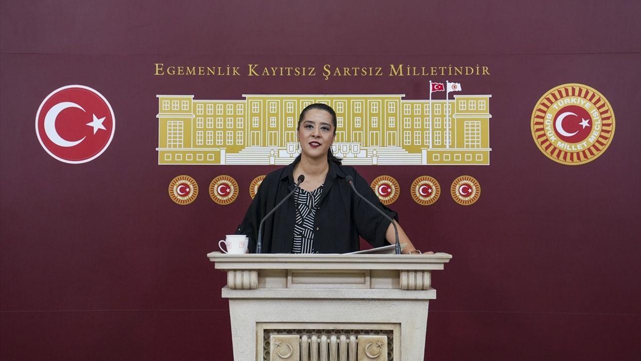EMEP Milletvekili Sevda Karaca Demir'den İtiraz: Proje Okulları Yönetmeliği Eleştirildi