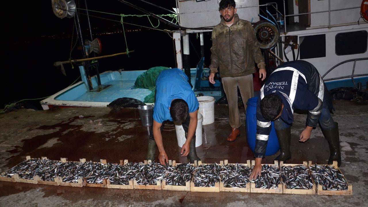 Ereğli Balık Hali'nde Mezadı Hareketliliği Devam Ediyor