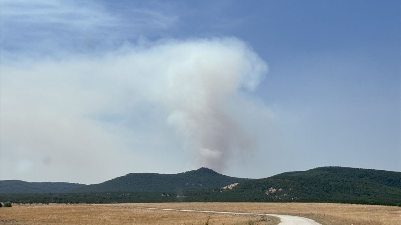 Eskişehir'de Orman Yangınına Hızla Müdahale Ediliyor