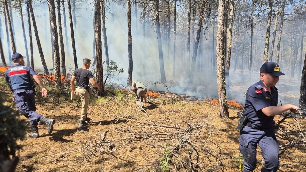 Eskişehir'de Orman Yangınına Hızla Müdahale Ediliyor