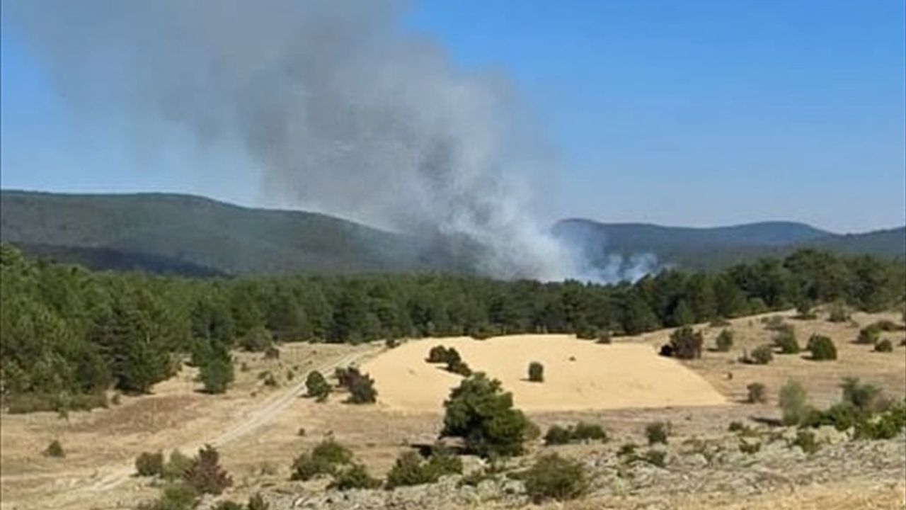 Eskişehir'de Orman Yangınına Hızlı Müdahale