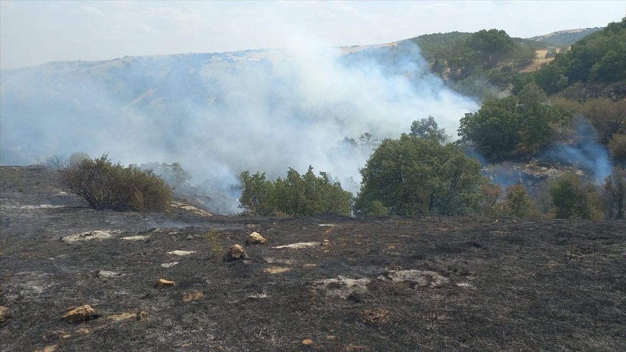 Eskişehir'de Yangın Kontrol Altına Alındı: Ormanlık Alanda Hasar Var