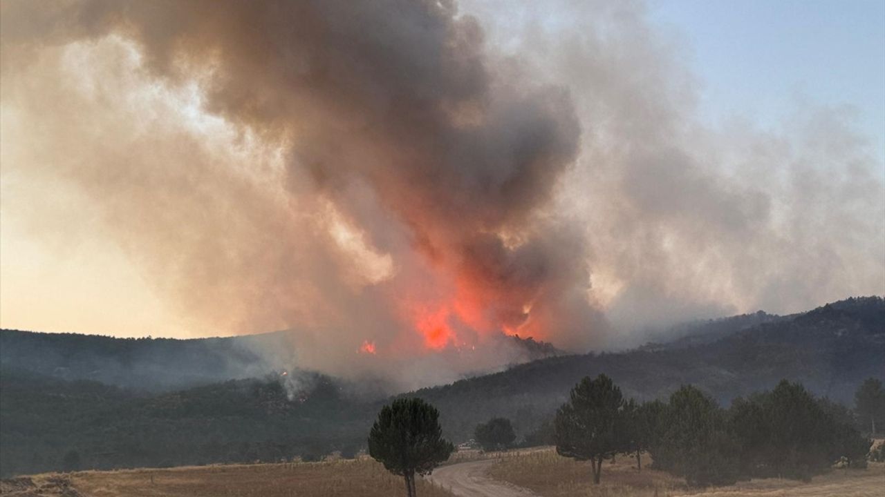 Eskişehir'deki Orman Yangını Afyonkarahisar'a Ulaştı
