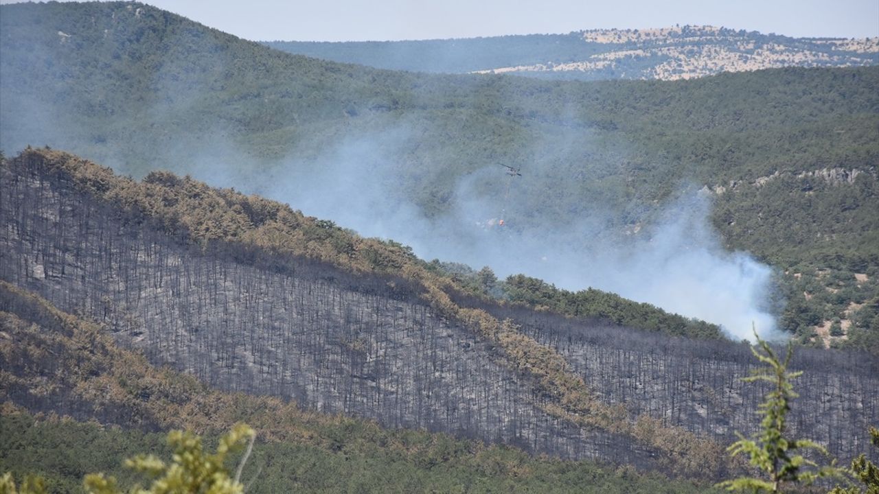 Eskişehir'deki Orman Yangını Kontrol Altında, Müdahale Sürüyor