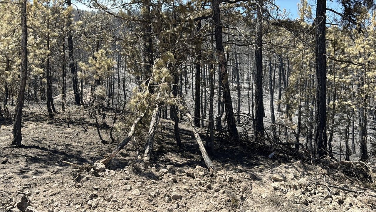 Eskişehir'deki Orman Yangınında Alevler Arasında Kalan Ormancıların Görüntüleri Ortaya Çıktı