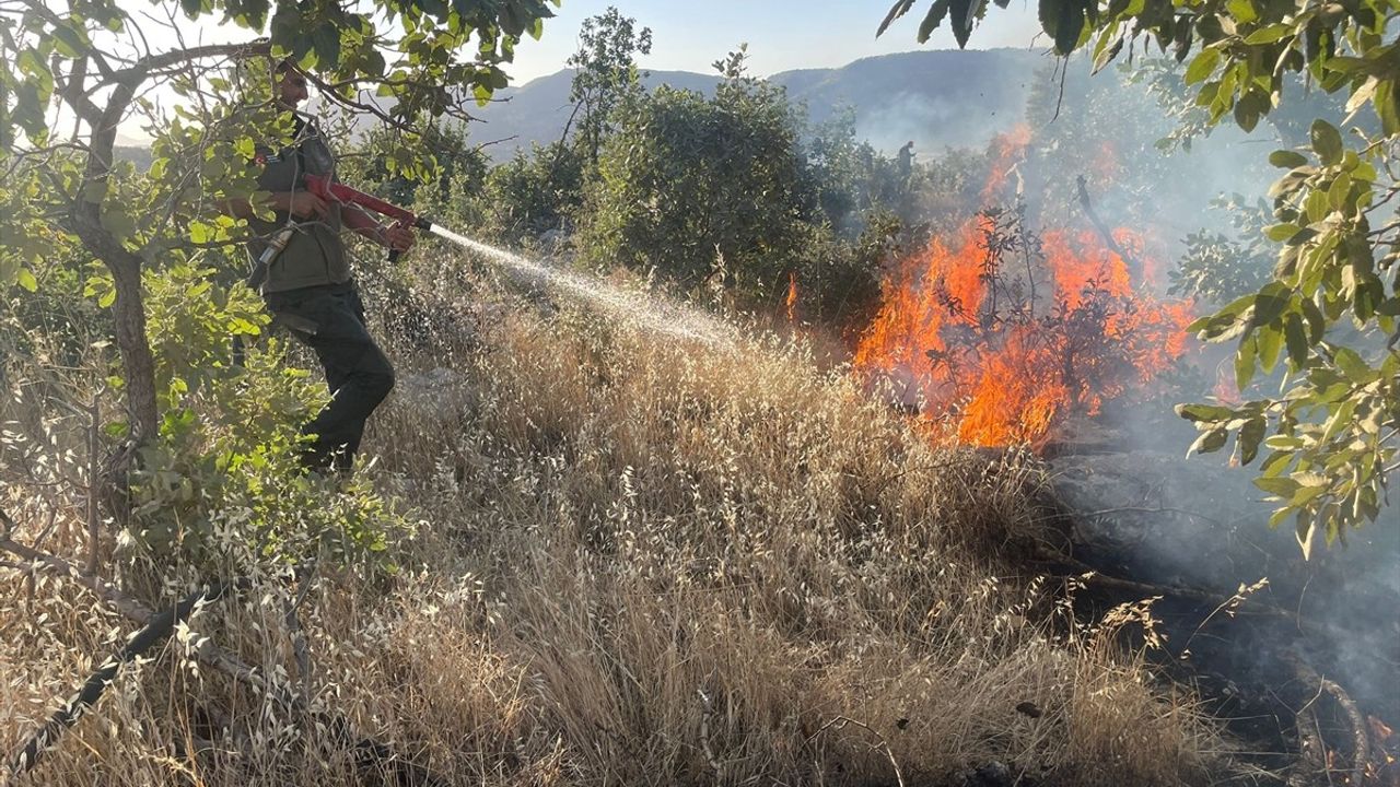 Gabar Dağı'ndaki Orman Yangınına Hızla Müdahale Ediliyor