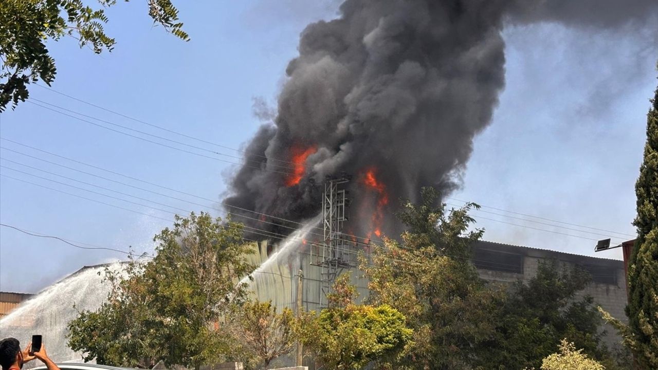 Gaziantep'te Halı Fabrikasında Yangın: Müdahale Devam Ediyor