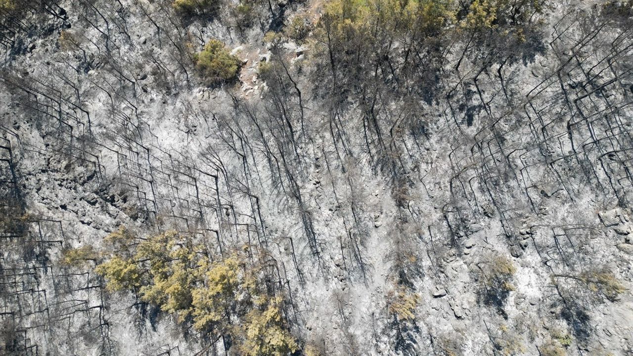 Gazipaşa'da Orman Yangını Kontrol Altına Alındı