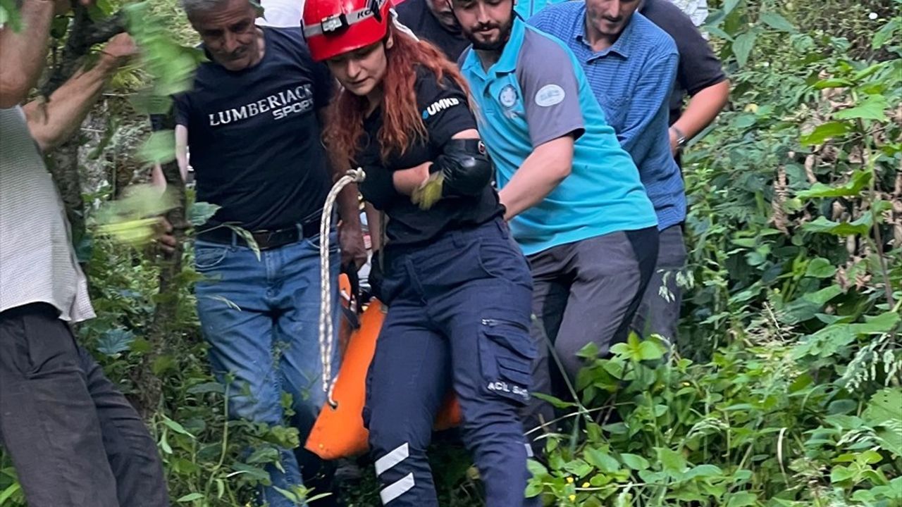 Giresun'da Yamaçtan Yuvarlanan 75 Yaşındaki Adam Yaralandı