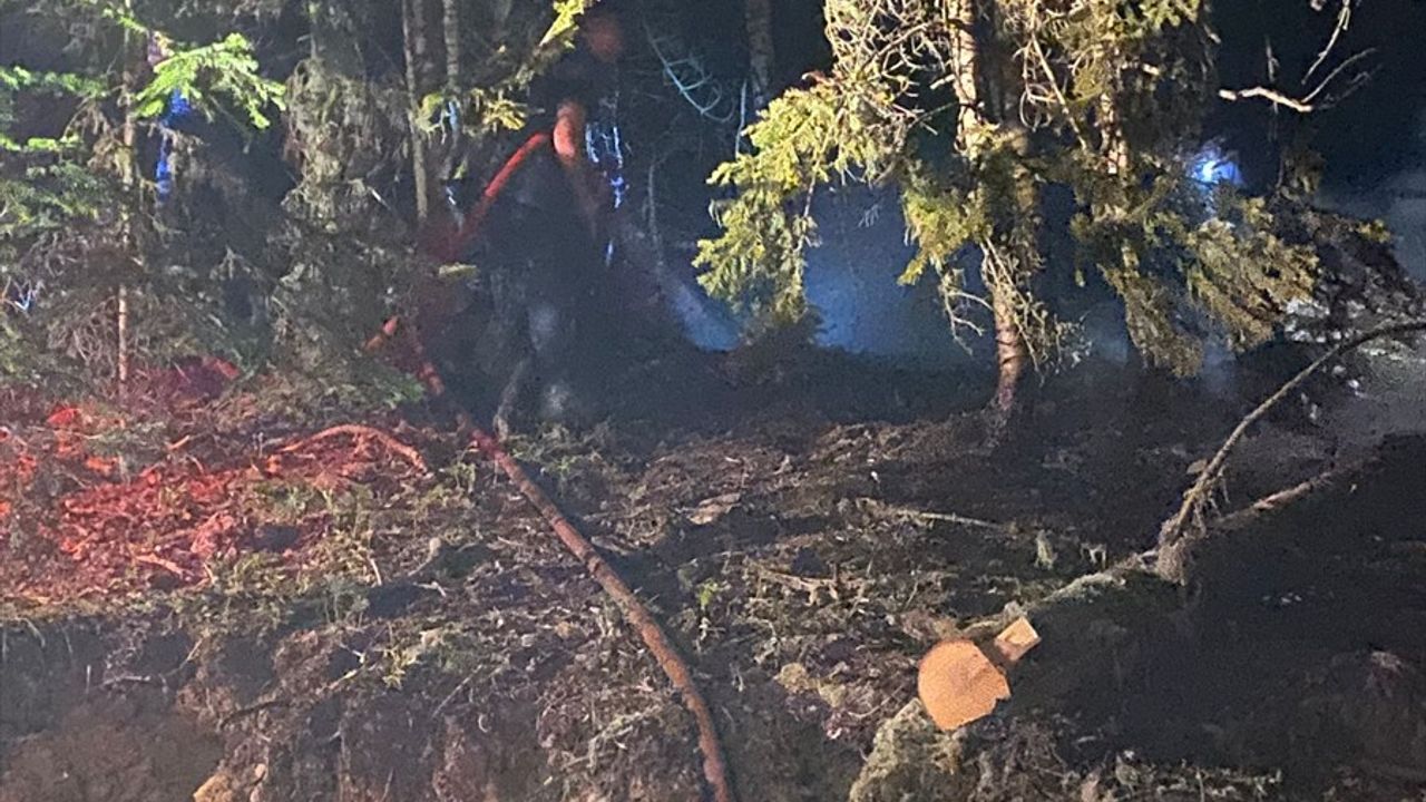 Gümüşhane'de Orman Yangını Kontrol Altına Alındı