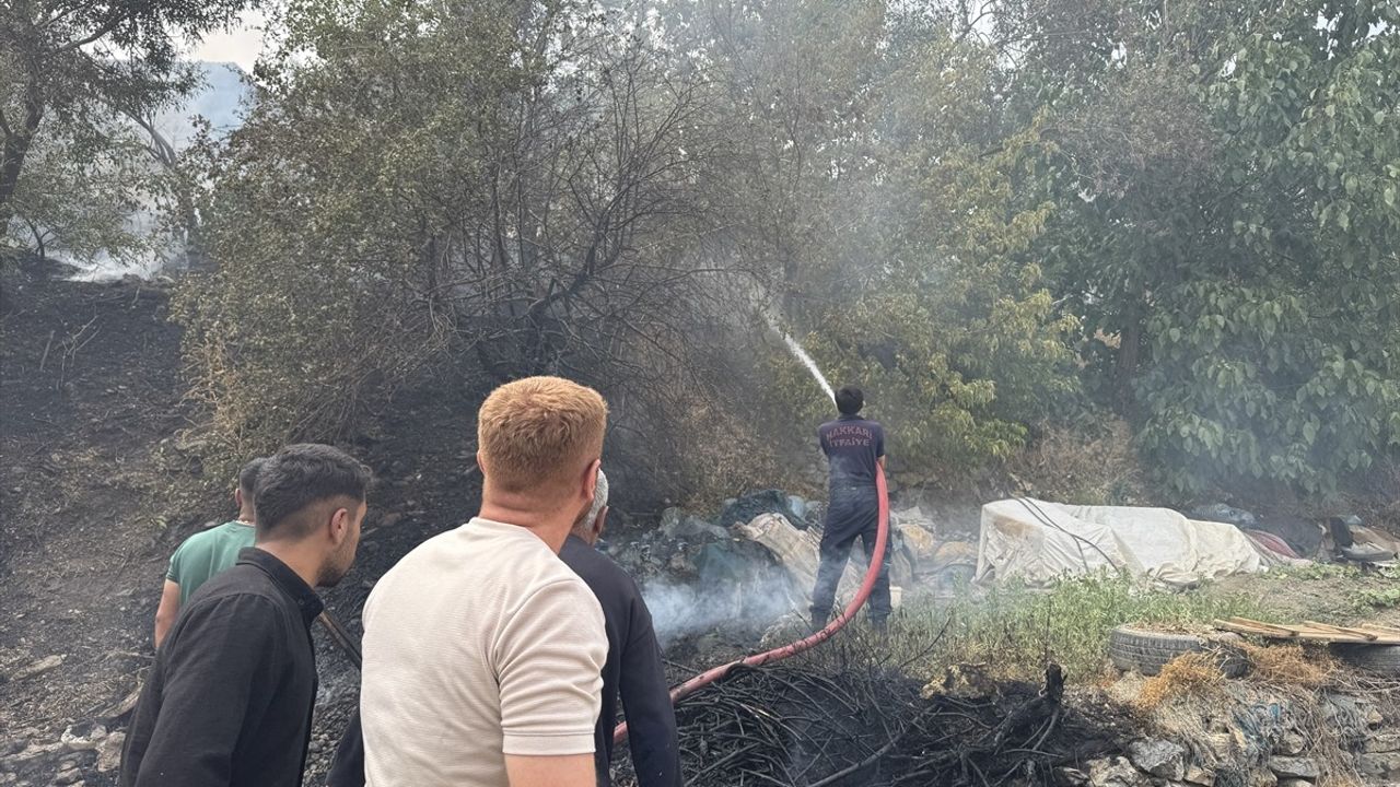 Hakkari'de Ağaçlık Alan Yangını Kontrol Altına Alındı