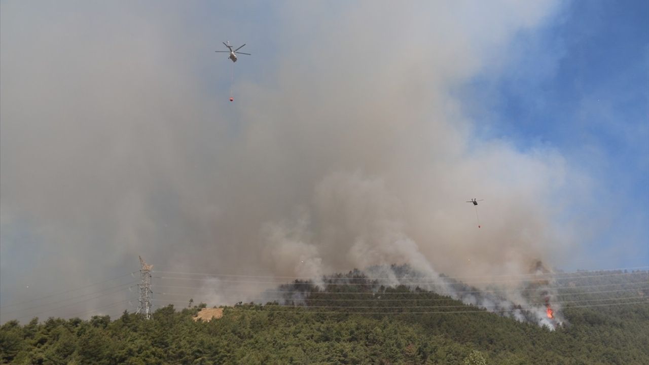 Hatay'da Orman Yangınına Müdahale Devam Ediyor