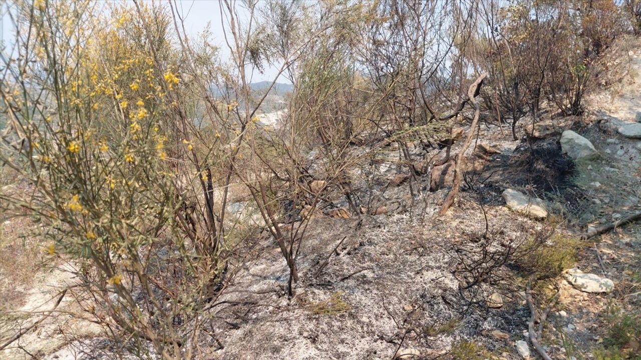Hatay Samandağ'da Makilik Alandaki Yangın Kontrol Altına Alındı
