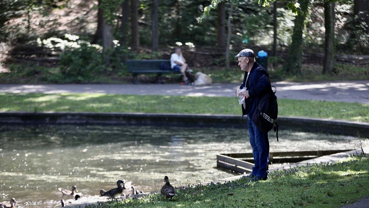 Hollanda'nın Park Sonsbeek'i: 126 Yıldır Arnhem'in Yeşil Kalbi