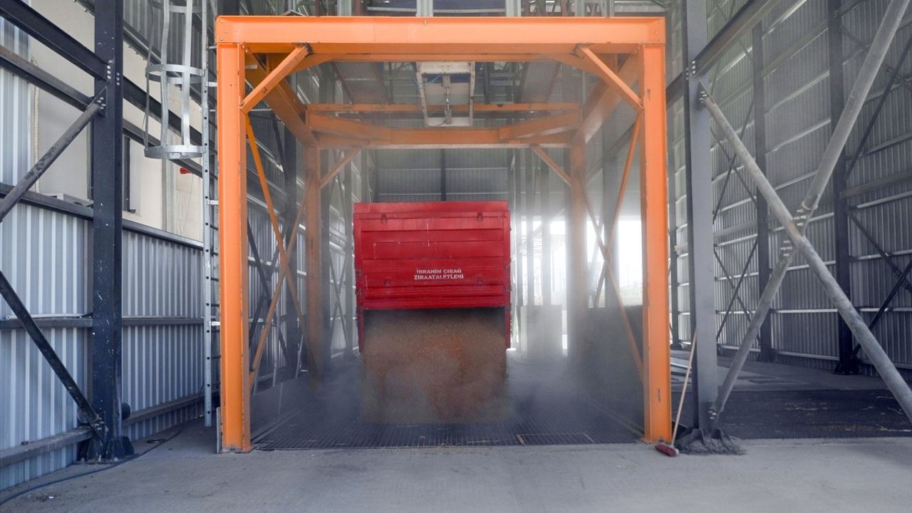 Iğdır'da Hububat Üretimi Lisanslı Depoculuk İle Güçleniyor