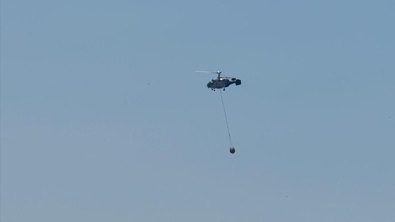 İstanbul Aydos Ormanı'nda Yangın: İtfaiye Ekipleri Seferber Oldu