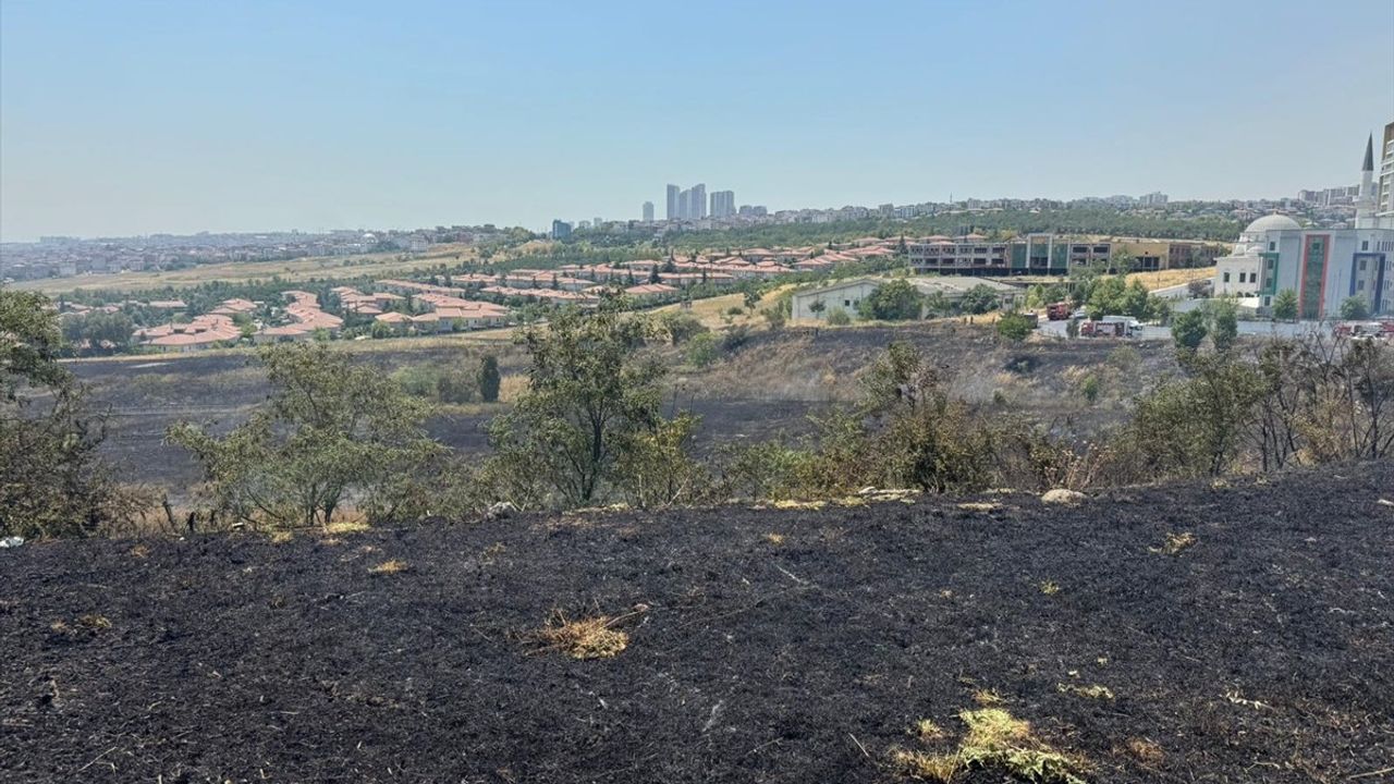 İstanbul'da Otluk Alanda Yangın Kontrol Altında
