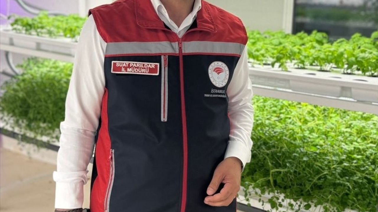 İstanbul Tarımı Yeniden Doğuyor: Yerli Biber Fidesi Dikey Tarım Merkezi'nden Çiftçilere Ulaşıyor