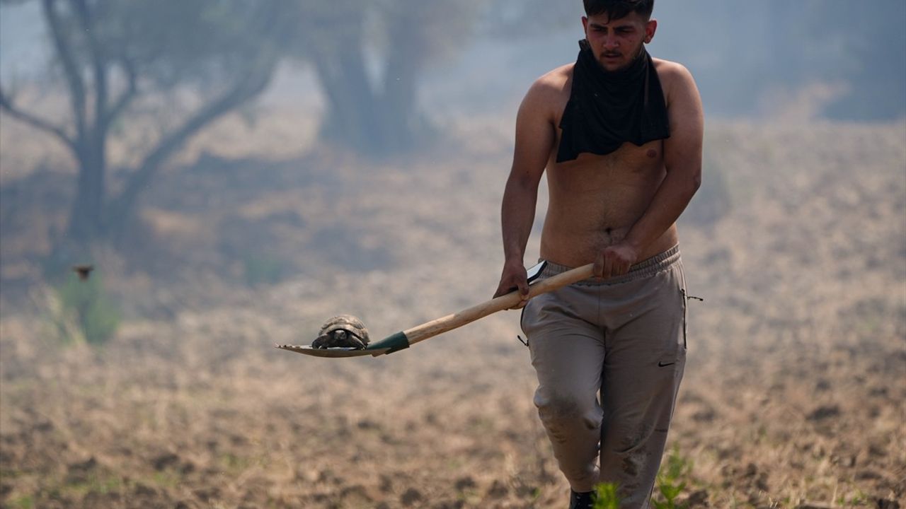 İzmir Bornova’da Orman Yangınına Havadan ve Karadan Mücadele