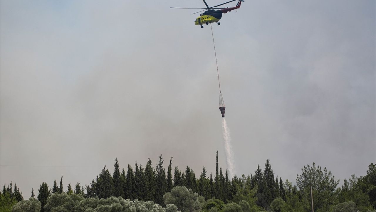İzmir Bornova'daki Orman Yangınına Hızla Müdahale