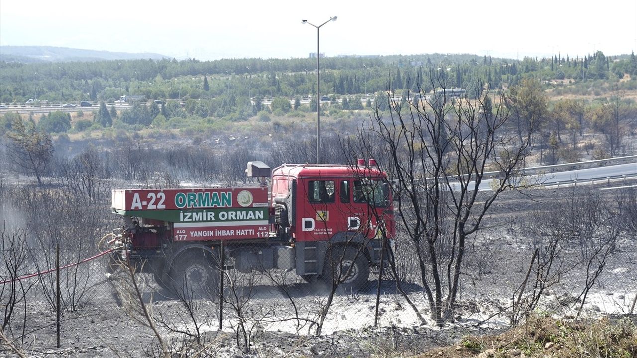 İzmir Buca'da Orman Yangını: Hızla Mücadele Ediliyor