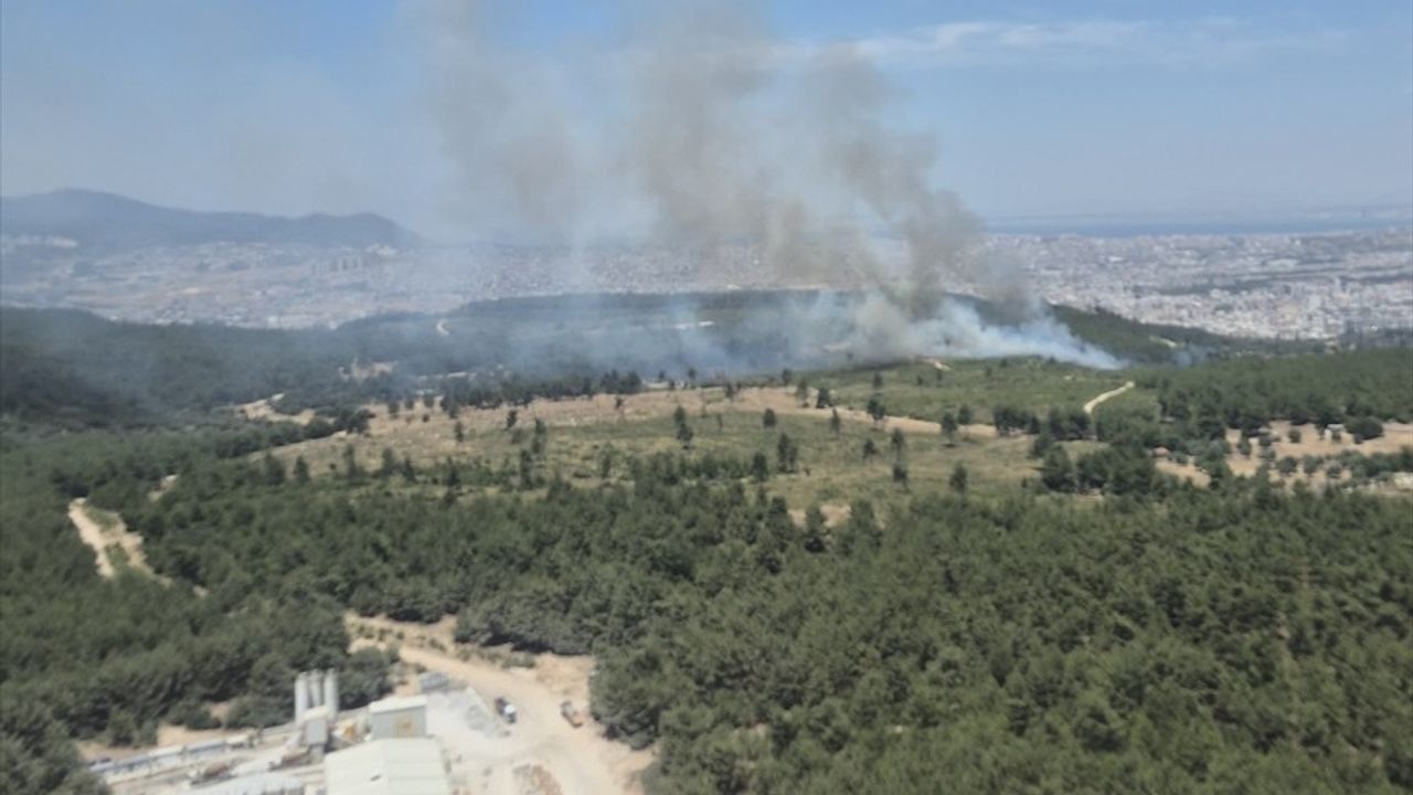 İzmir Buca'da Orman Yangını: Hızla Müdahale Ediliyor