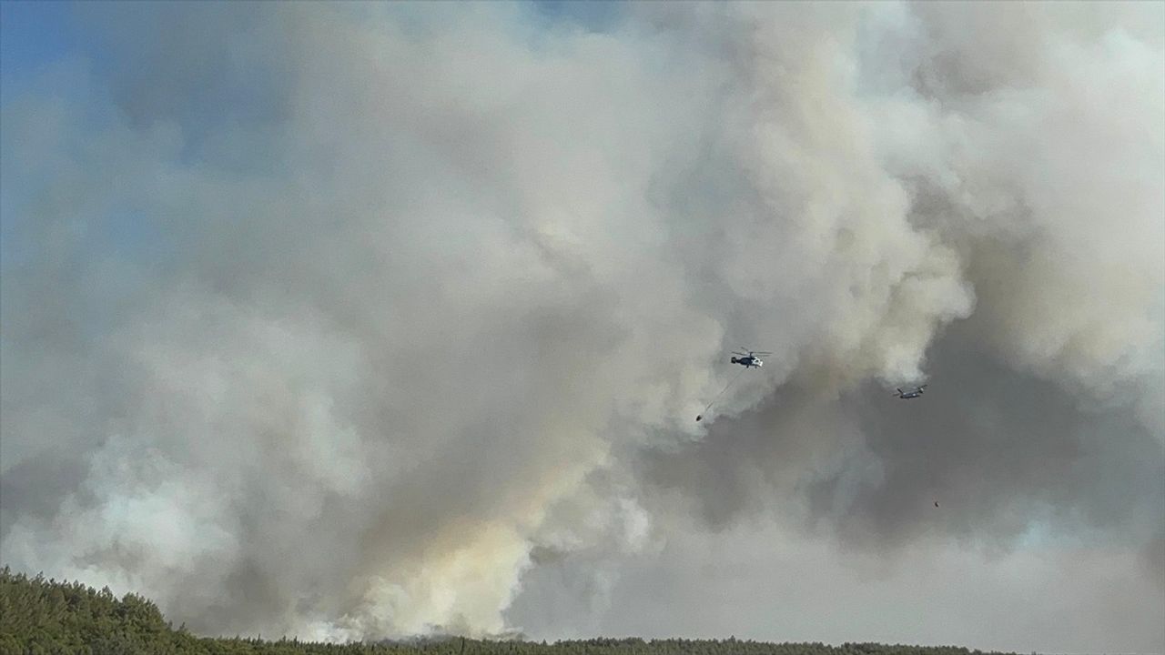 İzmir Buca'da Orman Yangınına Hızlı Müdahale