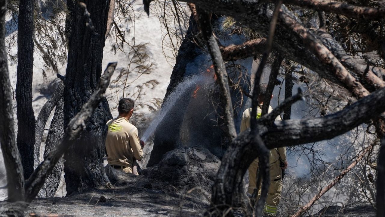 İzmir'de Orman Yangınlarına Karşı Seferberlik: Orman İşçileri Büyük Mücadelede