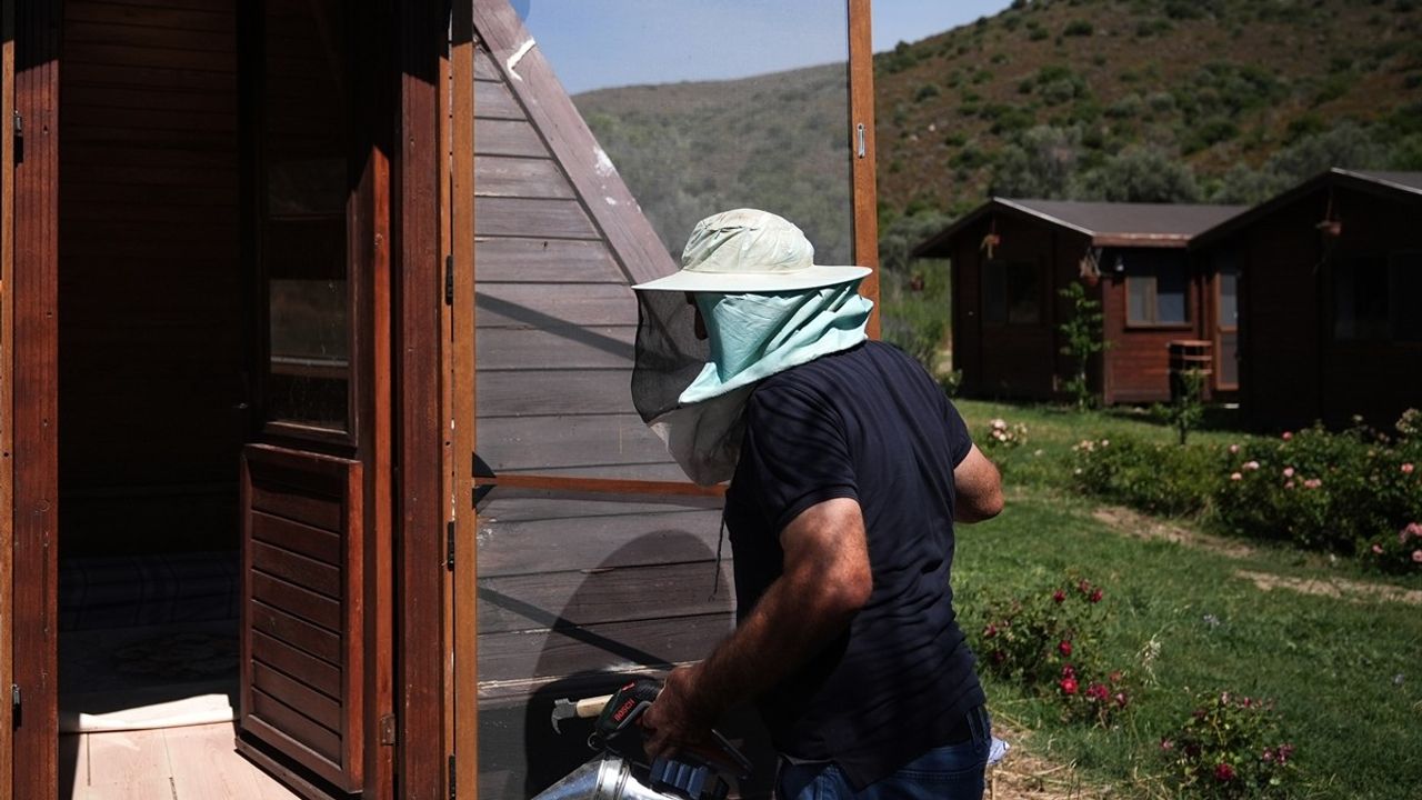 İzmir'deki Arı Çiftliğinde Alerji ve Solunum Tedavisi: 'Arı Havası' Deneyimi