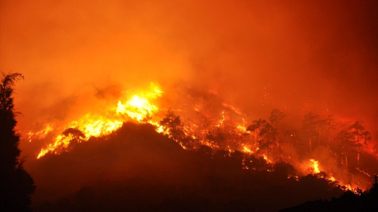 İzmir Ödemiş'te Orman Yangınına Müdahale Başladı