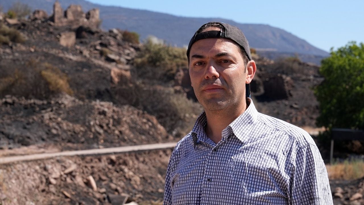 İzmir Orman Yangınlarında Hasar Tespit Çalışmaları Tamamlandı