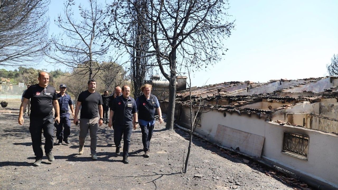 İzmir ve Bilecik Orman Yangınları 'Genel Hayata Etkili Afet Bölgesi' İlan Edildi