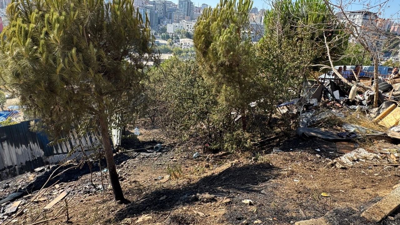 Kağıthane'deki Ağaçlık Alanda Yangın Söndürüldü