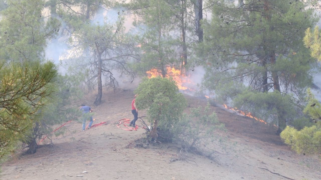 Kahramanmaraş'taki Orman Yangını Kontrol Altına Alındı